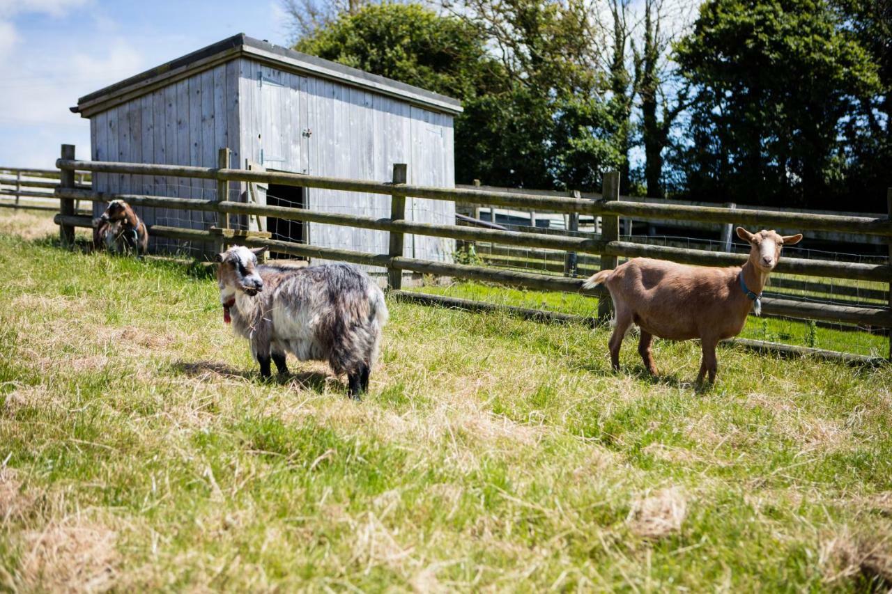 Sharlands Farm Holiday Cottages Bude Esterno foto
